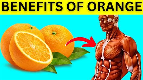 Benefits Of Eating Oranges Everyday What Happens When You Start