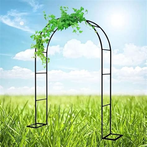 Arche De Jardin en Fer Forgé Largeur du Passage 120Cm 140Cm 180Cm 240Cm