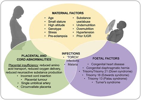 Frontiers Knowledge Gaps And Emerging Research Areas In Intrauterine