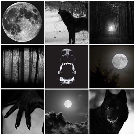 Weirdbigdog Aesthetic For A Black Wolfwerewolf Who Likes Darkness