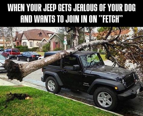 1000 Images About Jeep Memes On Pinterest Road Quotes Offroad And Waves