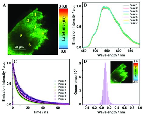 A Flim Image B Emission Spectra And C Emission Decays At