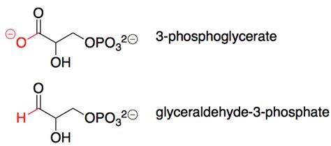 organic chemistry - difference between glyceraldehyde-3-phosphate and 3-phosphoglycerate ...