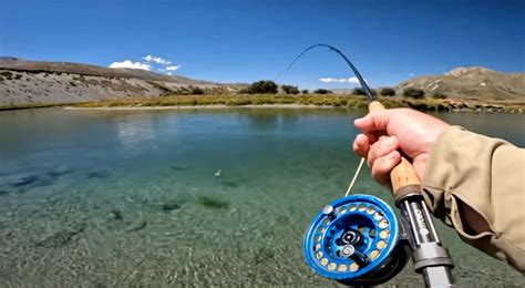 Fly Fishing World Renowned Trophy Trout River Stunning Water