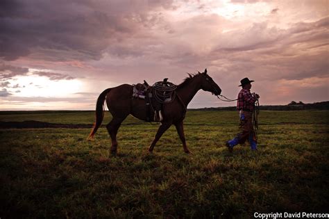 Cowboyroundup David Peterson Photography