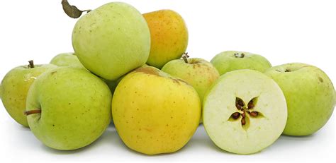 Goldrush Apples Information Recipes And Facts