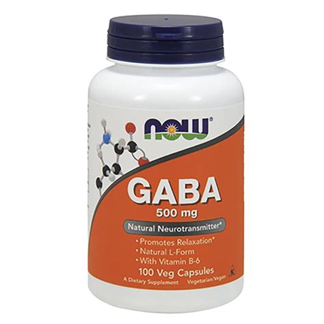 NOW Foods GABA 100 Vegane Kapseln | Nutrition1