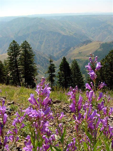 Hells Canyon Overlook