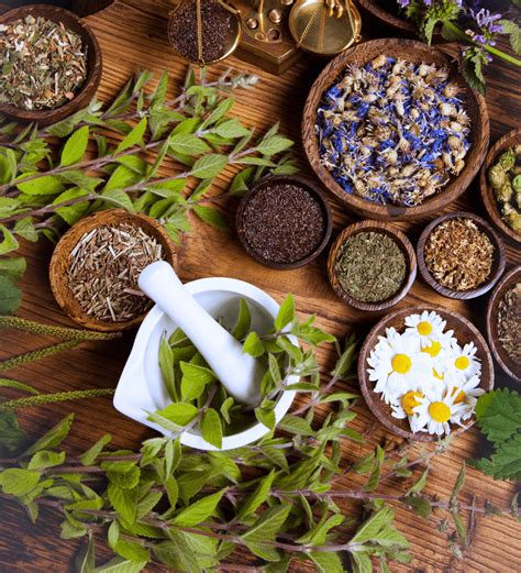 Medicinal Plants Of Assam And The Tribes Behind Traditional Healthcare