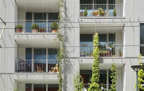 Stadthaus M Fassadenbegr Nung In Freiburg Gr Nstattgrau