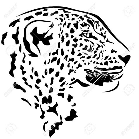 Leopard - Drawing Skill