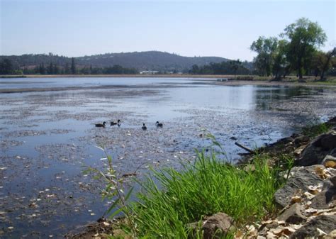 Hikes in El Dorado County, California: Cameron Park Lake