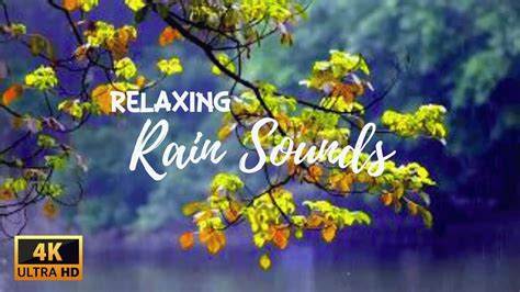 Relax Rain Ambient Sounds For Deep Relaxation And Sleep Youtube