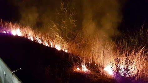 Bystanders use water bottles, handfuls of dirt to fight roadside fire ...