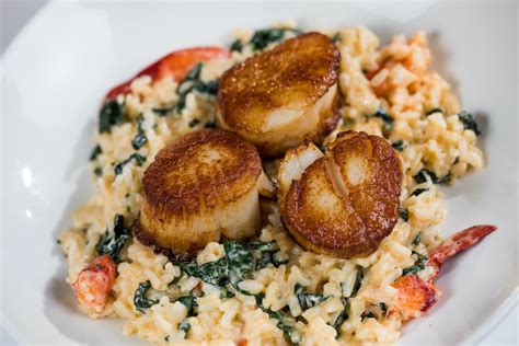 Scallop Risotto Recipe: 4 Tips for Cooking Scallop Risotto - 2025 ...