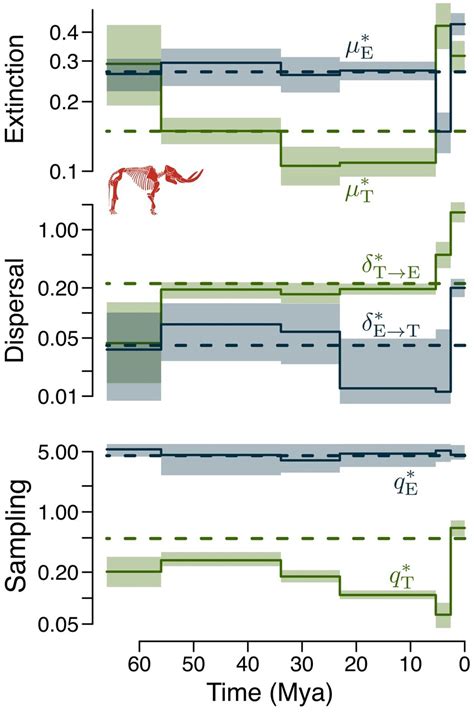 Spatio Temporal Diversification Dynamics In Mammal Fossil Record