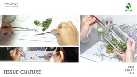 19th Lab - 19th Landscape Co., Ltd