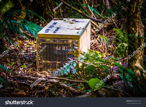 Possum Trap Stock Photo 668491162 | Shutterstock