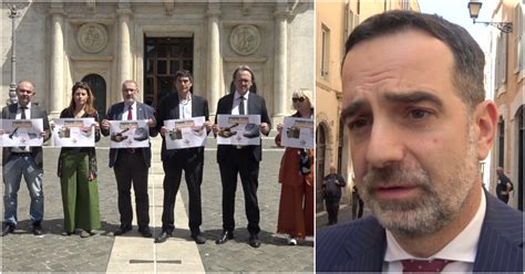 Pnrr Usato Per Le Armi Il Sit In Di Verdi E Sinistra Il Pd Si Dice