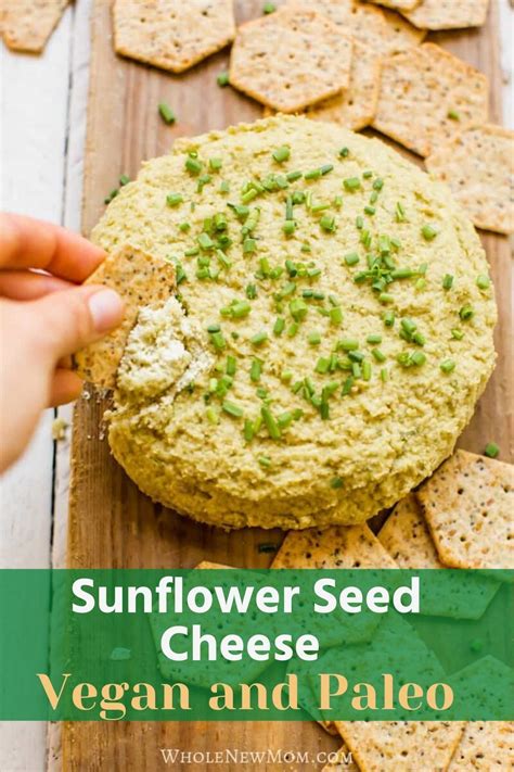 Sunflower Seed Cheese Vegan Recipe Vegan Cheese Recipes Recipes Easy Vegan Cheese Recipe