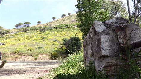 Mila Azul Wild Passion W4B Scene01151 Porn Pic