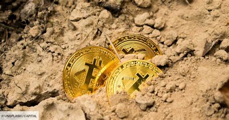 Comment S Curiser Vos Bitcoins Ethers Et Autres Cryptomonnaies