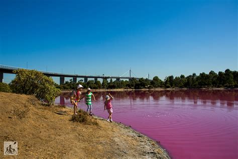 Pink Lake Westgate Park Port Melbourne