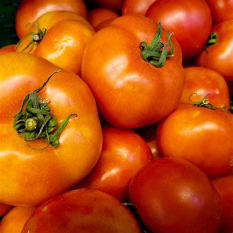 Red Green Tomato Fruit · Free Stock Photo