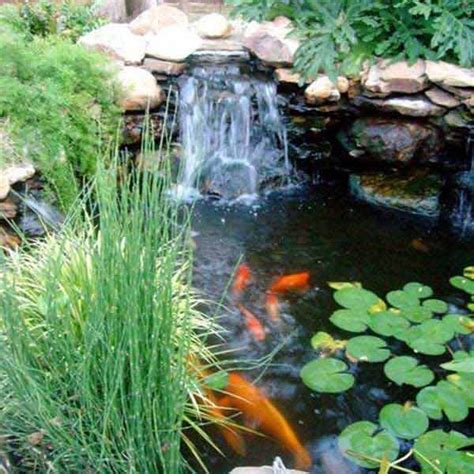 Water Garden Ideas - yardworship.com