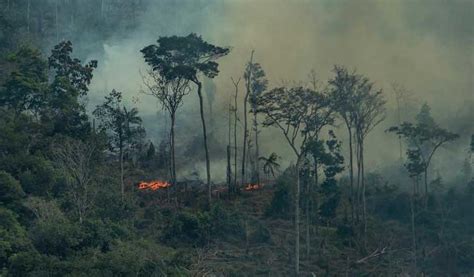 Amazon deforestation and development heighten Amazon fire risk: study