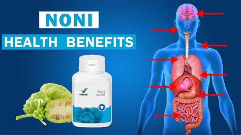 Vestige Noni Benefits In Hindi Noni Capsules Uses Dosage Youtube