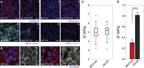 Visco Node Pore Sensing A Microfluidic Rheology Platform To