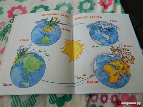 Книга: Времена года - Узорова, Нефедова. Купить книгу, читать рецензии ...
