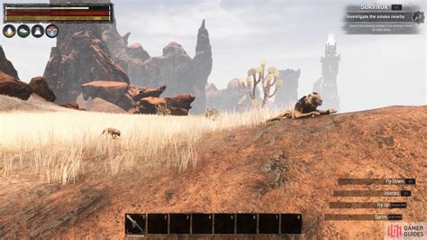 Lion Cub Locations And Uses Conan Exiles Pet Taming Pets Conan