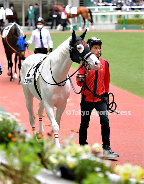 東スポ 写真部 On Twitter 2023年4月8日 競馬 レース 7r 3歳未勝利 3着2番・ アオラキ（ 勝浦正樹 騎手