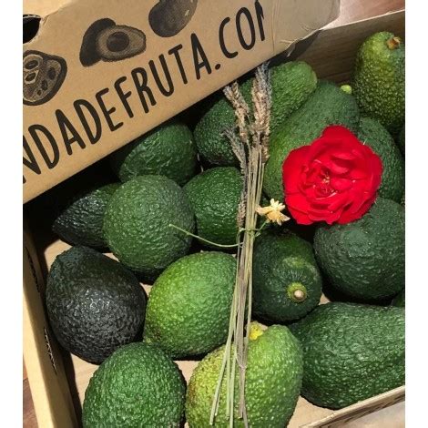 Comprar Aguacates Online Hass Tienda De Fruta