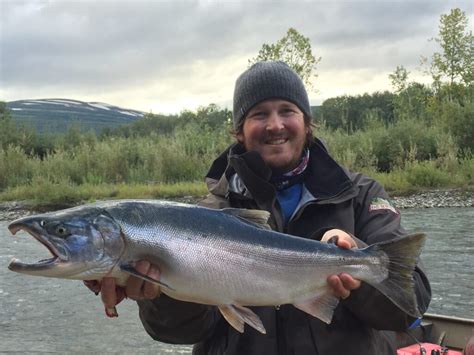 Coho Salmon Fishing At Rainbow King Rainbow King Lodge