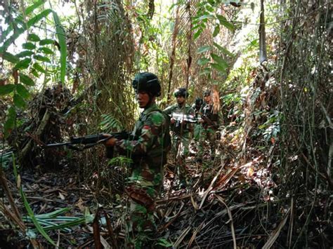 Nama Prajurit Yang Bergabung Dengan Kkb Papua Indonesiadefense