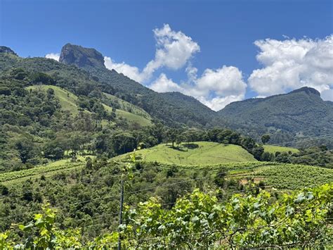 Mantiqueira paulista e Sul de Minas ganham megafestival gastronômico