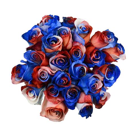 Blue Fire And Ice Roses