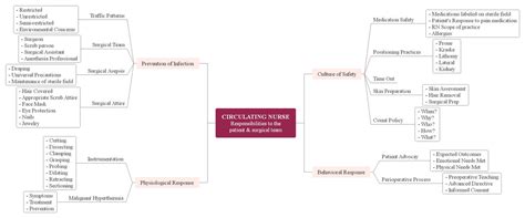 Nursing Concept Map Examples Edrawmind