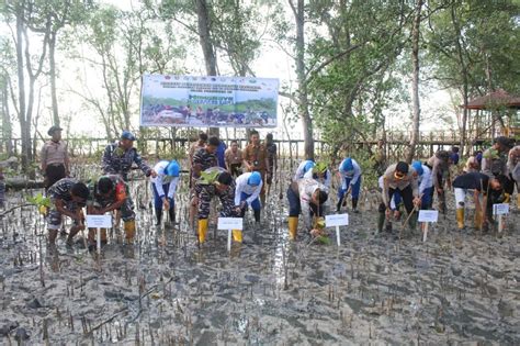 Lanal Dabo Singkep Tanam Ribuan Mangrove Di Desa Sedamai Kutipan