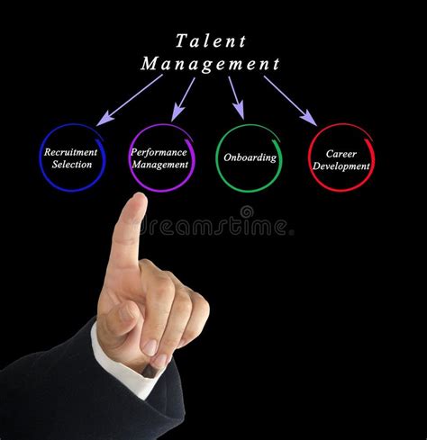 Diagrama De La Gesti N Del Talento Foto De Archivo Imagen De Carrera