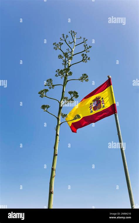 National coat of arms hi-res stock photography and images - Alamy