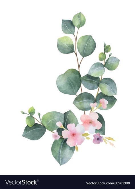 Watercolor vector bouquet with green eucalyptus leaves, pink flowers and branches. Spring or ...