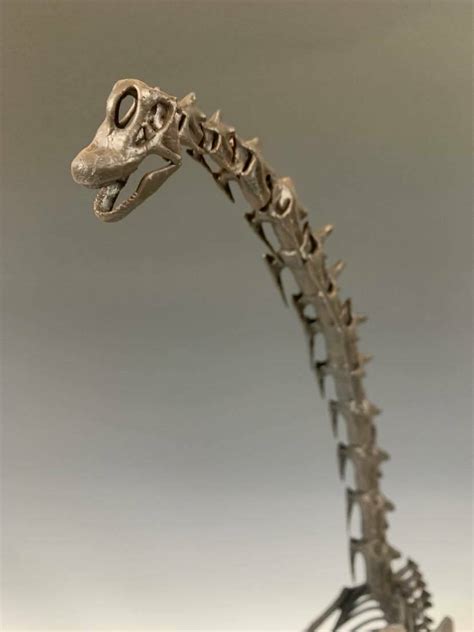 3D print Brachiosaurus Skeleton • made with Resin printed・Cults