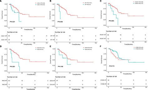 Frontiers A Novel Prognostic Scoring Model For Myelodysplastic