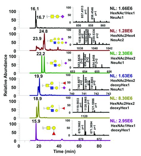 Extracted Ion Chromatograms EIC Of Various Free Reducing End