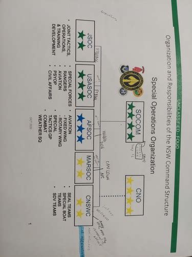 Organization and Responsibilities of NSW Structure Flashcards | Quizlet