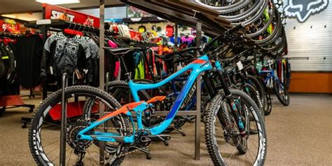 bikes